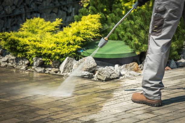 Best Dumpster Area Cleaning  in Hartley, IA