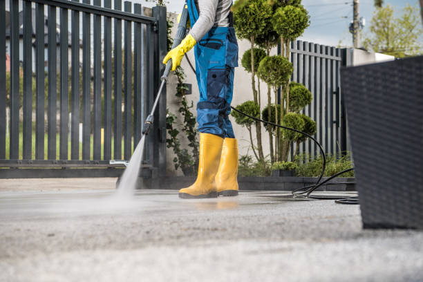 Best House Exterior Washing  in Hartley, IA